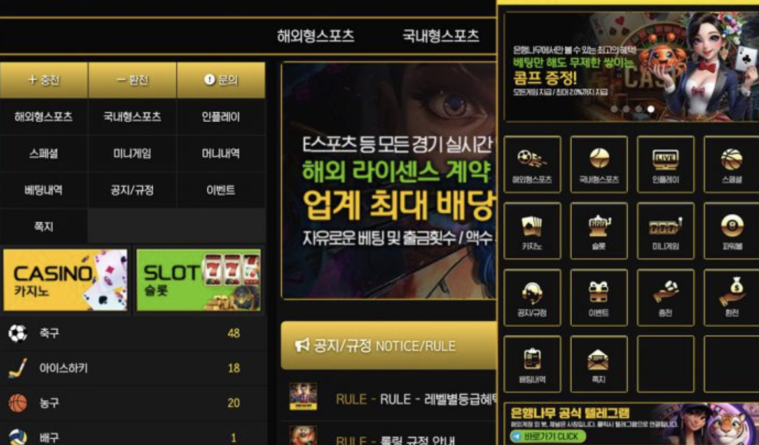 🎯 “8년차 유저도 졸업시킨 먹튀사이트 ‘은행나무’의 민낯!” 🎯